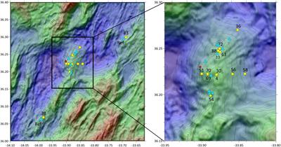 A Molecular Approach to Explore the Background Benthic Fauna Around a Hydrothermal Vent and Their Larvae: Implications for Future Mining of Deep-Sea SMS Deposits